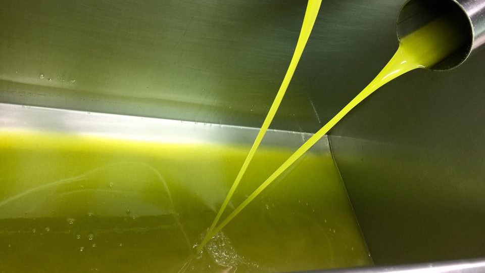 02 9 uai ARTOLIO Best AOVE, EVOO, Extra virgin olive oil