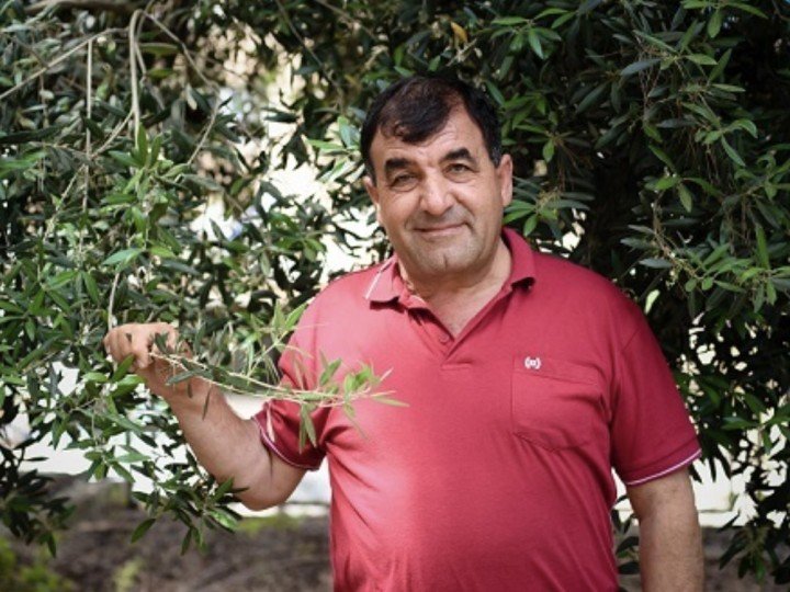 Mazen Ali 87 Captura de pantalla 2023 04 26 a las 12.54.19 uai ARTOLIO Best AOVE, EVOO, Extra virgin olive oil