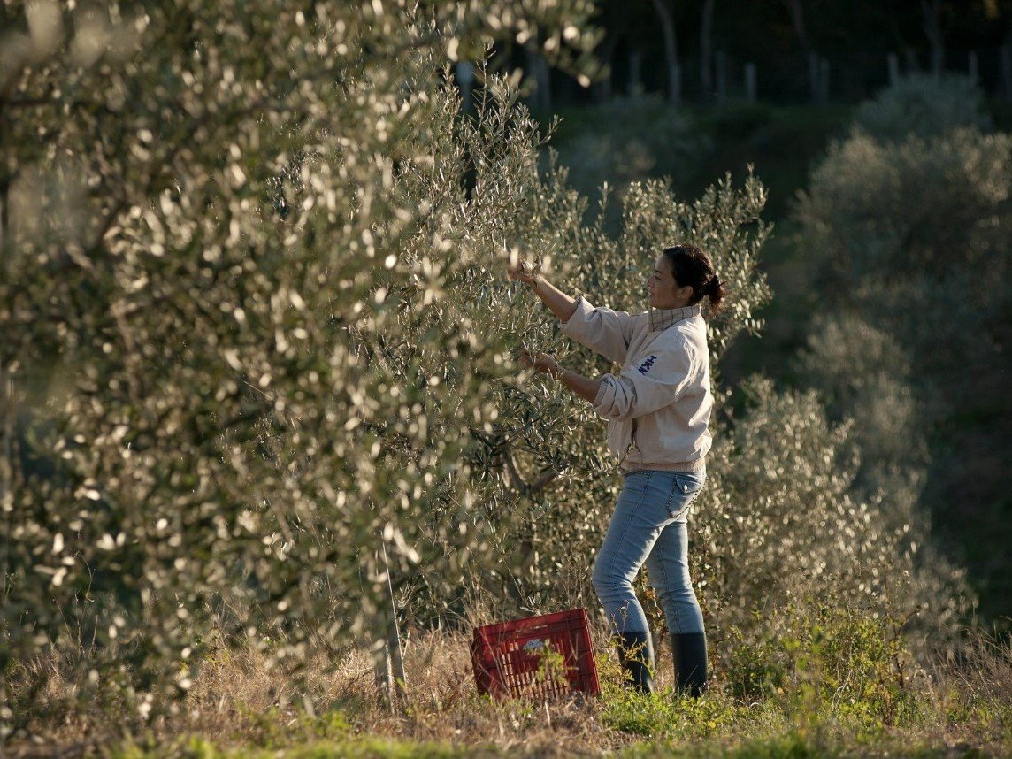 Captura de pantalla 2023 04 26 a las 12.55.23 uai ARTOLIO Best AOVE, EVOO, Extra virgin olive oil