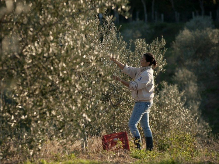 Emilie Borel Berta 95 Captura de pantalla 2023 04 26 a las 12.55.23 uai ARTOLIO Best AOVE, EVOO, Extra virgin olive oil