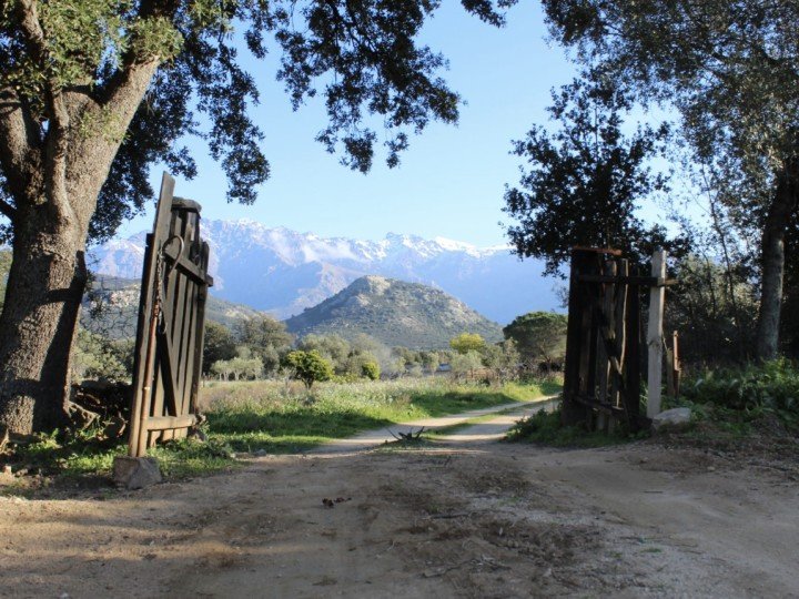 Jean-Louis Moretti 79 Captura de pantalla 2023 04 26 a las 12.55.36 uai ARTOLIO Best AOVE, EVOO, Extra virgin olive oil