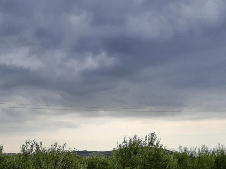 Nikolaos Kakdis 88 Captura de pantalla 2023 04 26 a las 12.59.49 uai ARTOLIO Best AOVE, EVOO, Extra virgin olive oil