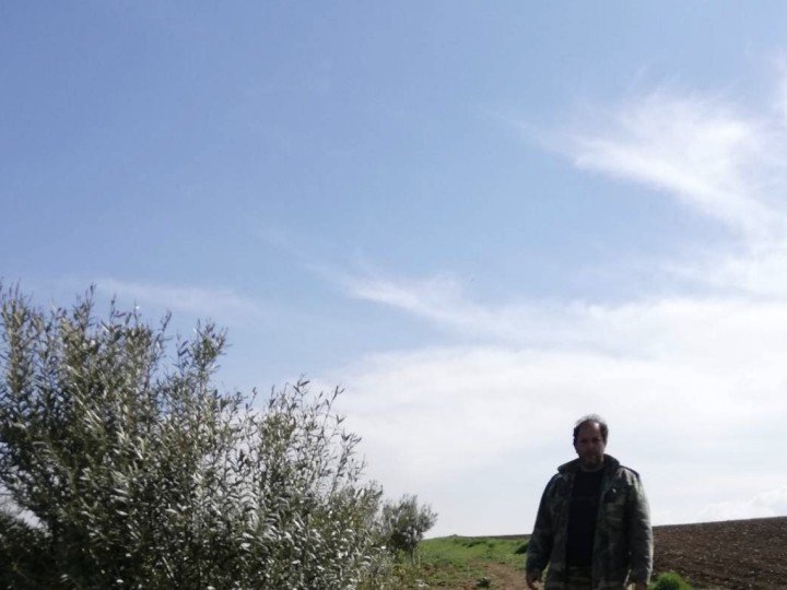 Vasilios Lotis 92 Captura de pantalla 2023 04 26 a las 12.59.59 uai ARTOLIO Best AOVE, EVOO, Extra virgin olive oil