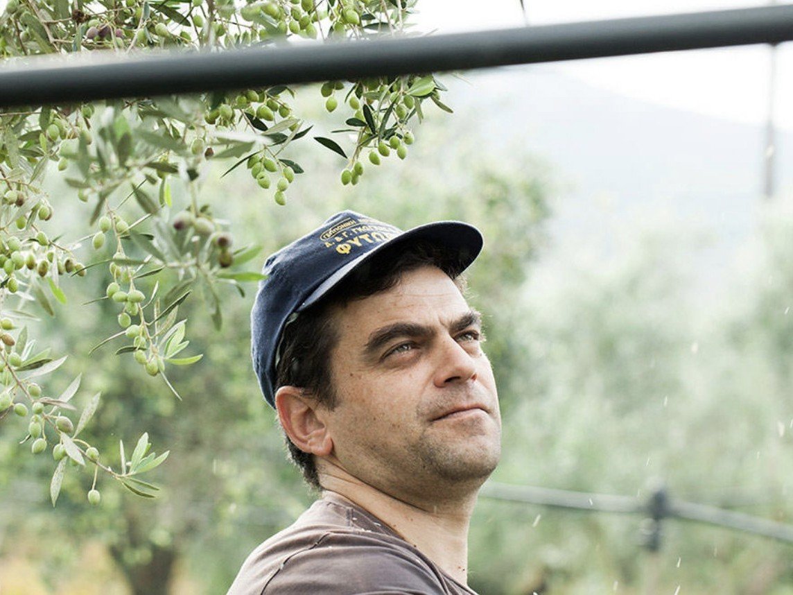Captura de pantalla 2023 04 26 a las 13.00.58 uai ARTOLIO Best AOVE, EVOO, Extra virgin olive oil