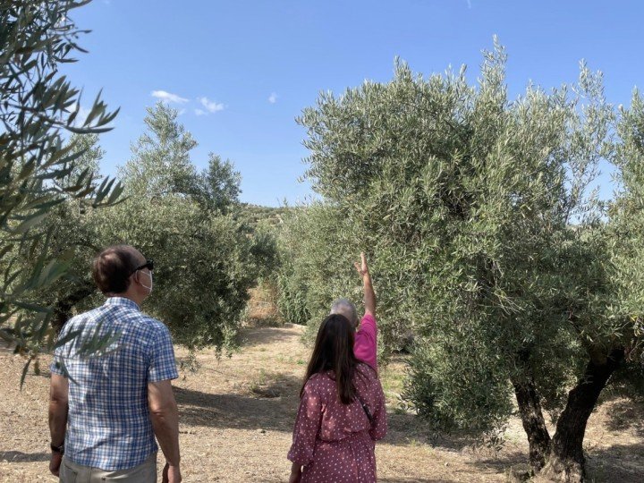 Blas Lanagrán García 99 Captura de pantalla 2023 04 26 a las 17.54.49 uai ARTOLIO Best AOVE, EVOO, Extra virgin olive oil