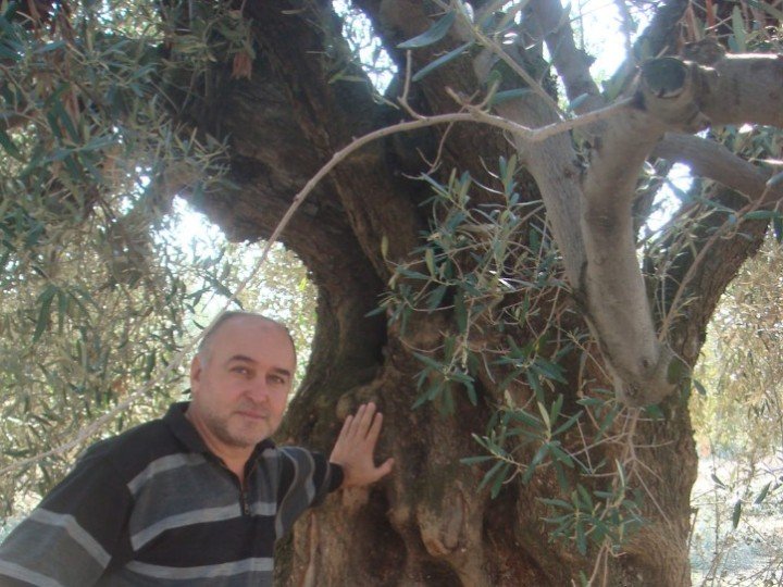 Yannis Prodromou 71 Captura de pantalla 238 uai ARTOLIO Best AOVE, EVOO, Extra virgin olive oil