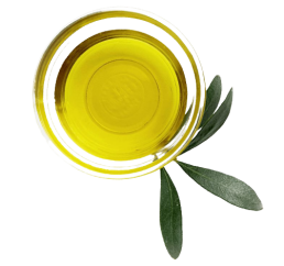 leaf2 removebg preview uai ARTOLIO Best AOVE, EVOO, Extra virgin olive oil