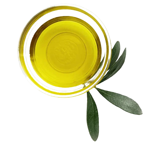 leaf2-removebg-preview 9 leaf2 removebg preview ARTOLIO Best AOVE, EVOO, Extra virgin olive oil