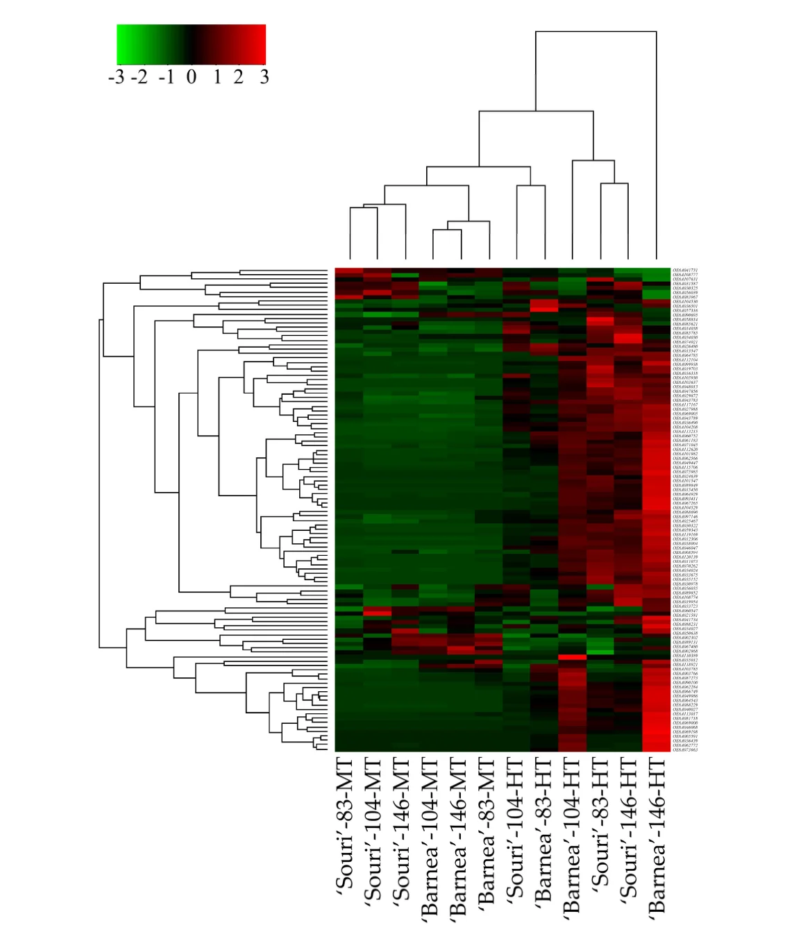 Figure 1. Hierarchical clustering of all heat-shock protein genes. Genes (rows) and samples (columns) were clustered according to their expression pattern. Sample names below include the cultivar-sample DPA-environment. Expression levels are indicated on an abundance scale of green to red.