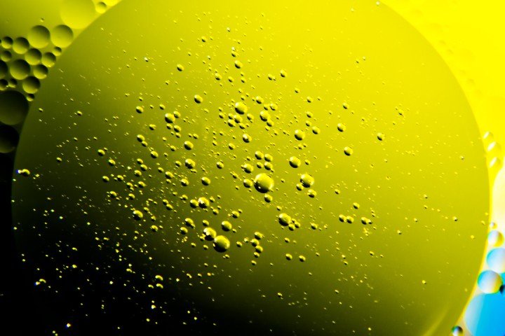 A High Temperature Environment Regulates the Olive Oil Biosynthesis Network 113 artolio-giora-ben-ari-research-kellenfol