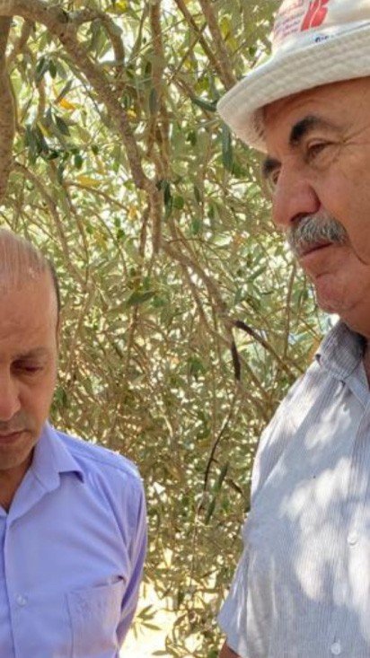 ARTOLIO partner Salah Abu Eisheh, from Palestine: “The progress of ARTOLIO in supporting olive farmers is clear and significant” 102 olive-oil-palestine-evoo-aove