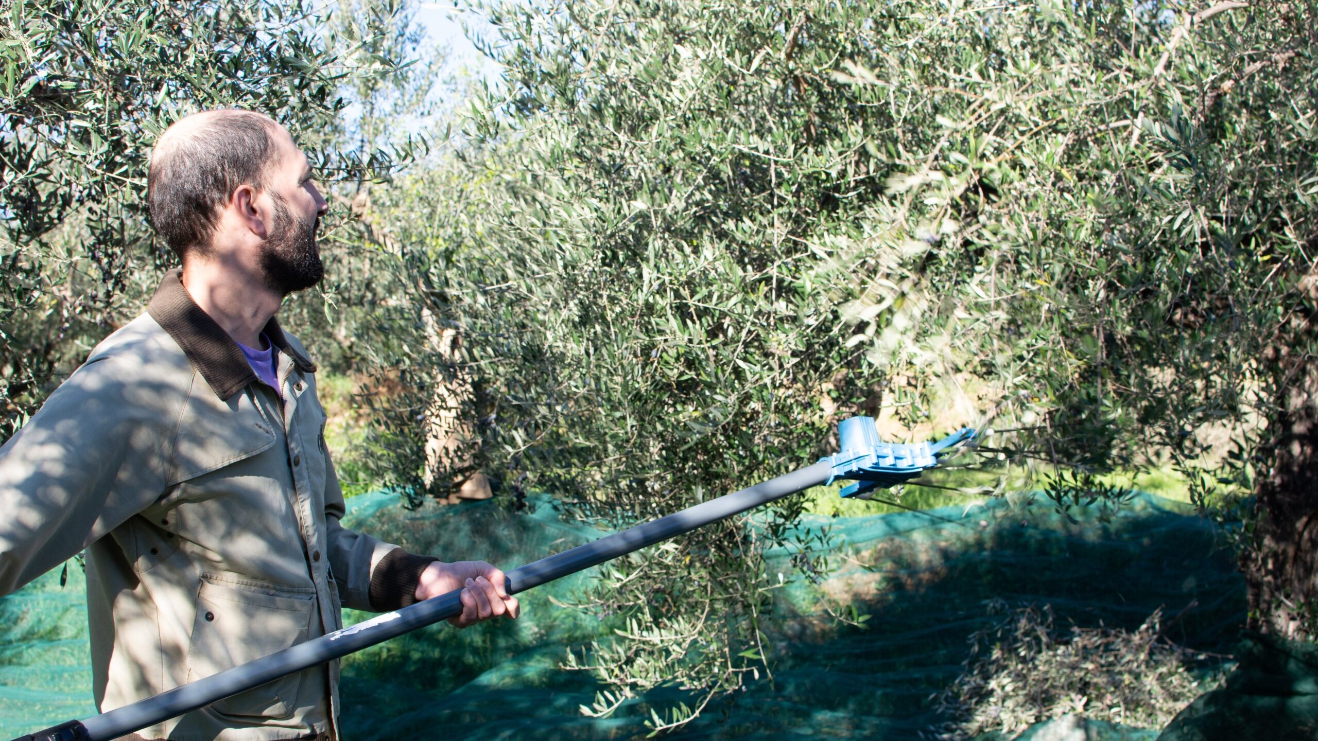 A. Magganas photo 4 scaled uai ARTOLIO Best AOVE, EVOO, Extra virgin olive oil
