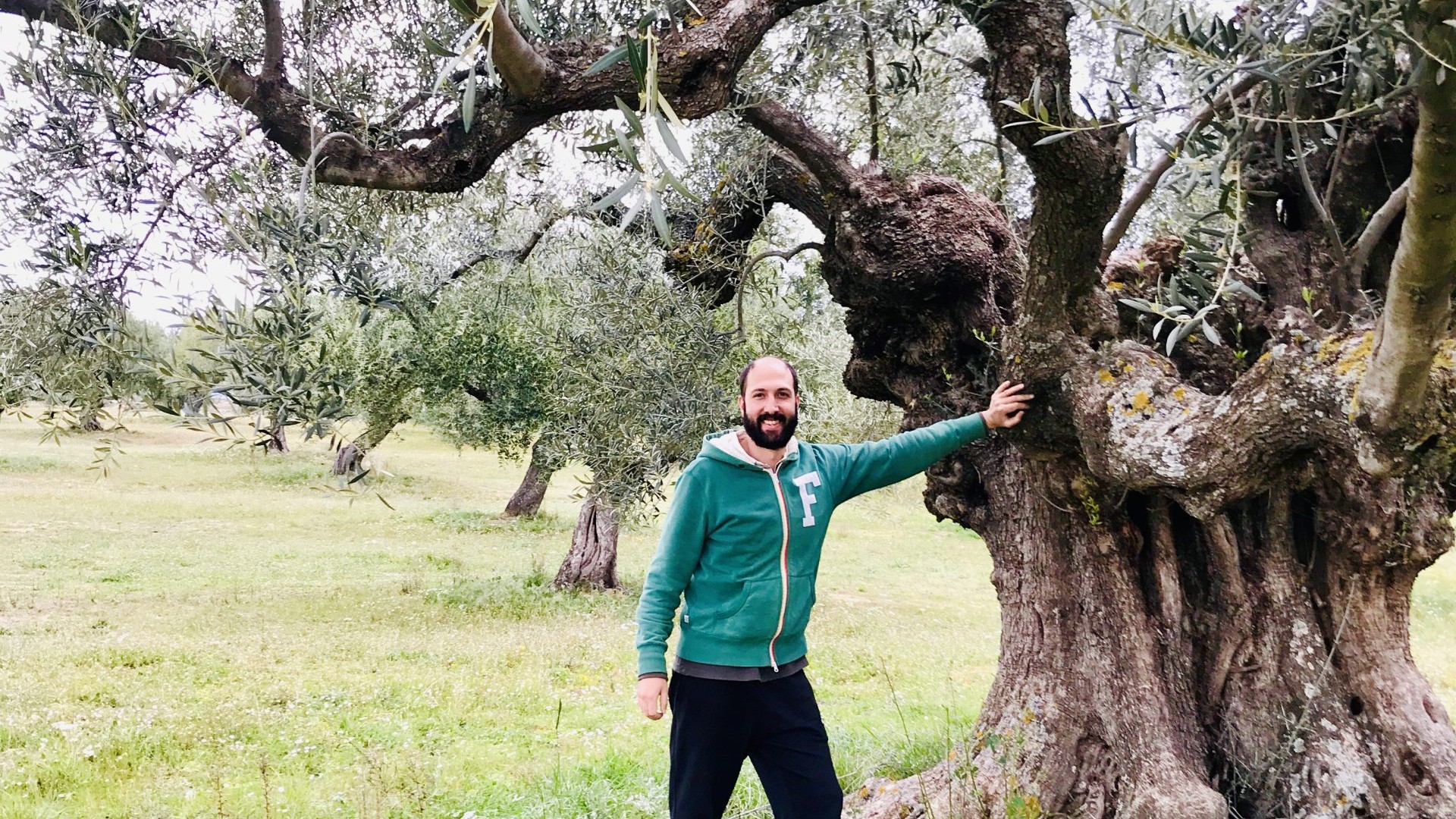Anastasis Magganas Farmer photo 2 scaled uai ARTOLIO Best AOVE, EVOO, Extra virgin olive oil